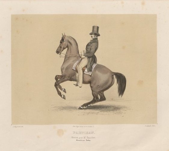 Baucher-su-Partisan-2-562x500