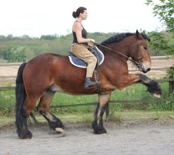 FB_IMG_1470819423016-1