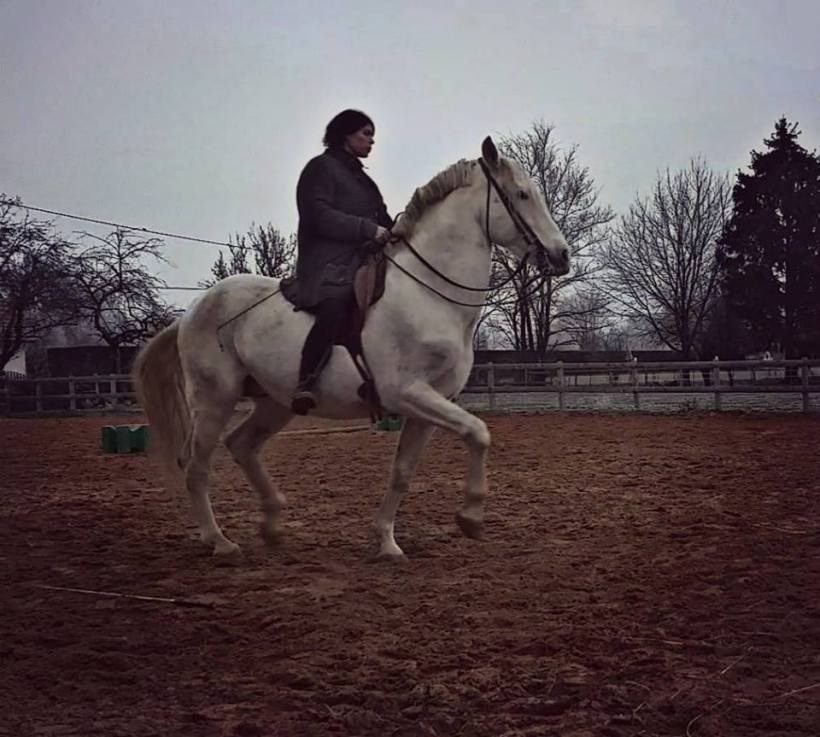 50304728_10217905055521082_3206252769329545216_n