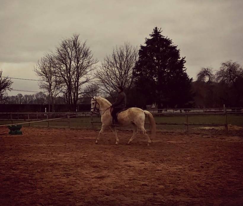 52105041_10218066078546557_2952191306148872192_n